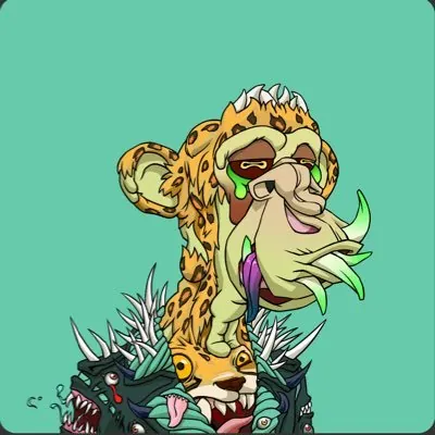 Photo of rocsolmiami